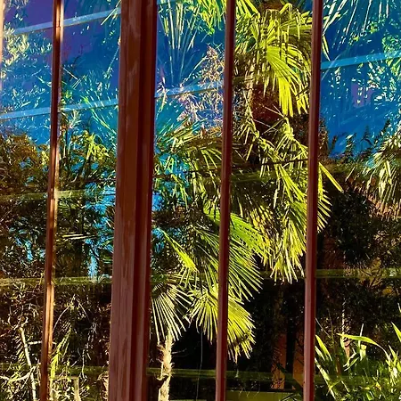 Roesch Lejlighed Weimar (Thuringia)